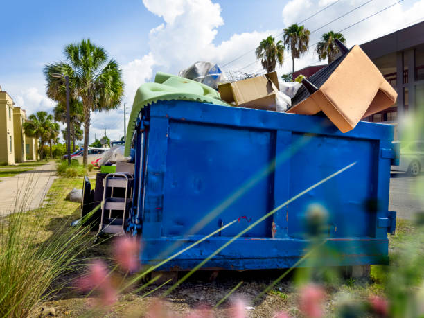 Yard Cleanup Services in Washington, NC